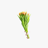 Freesia Flower